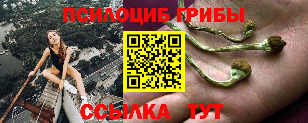 Псилоцибиновые грибы Psilocybine cubensis  Псилоцибиновые грибы прущие грибы  Тулун  Вход с VPN 
